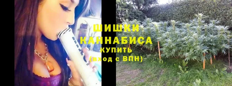 blacksprut ссылка  Нестеровская  МАРИХУАНА AK-47  купить  цена 